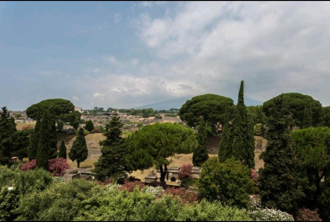 B&B Vesuvio Ruins ポンペイ エクステリア 写真